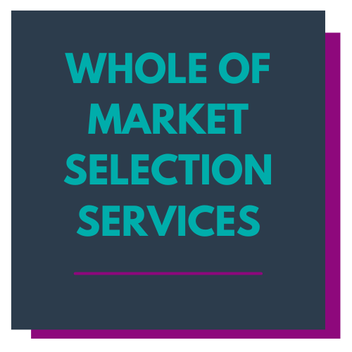 HCM and Payroll Selection Support