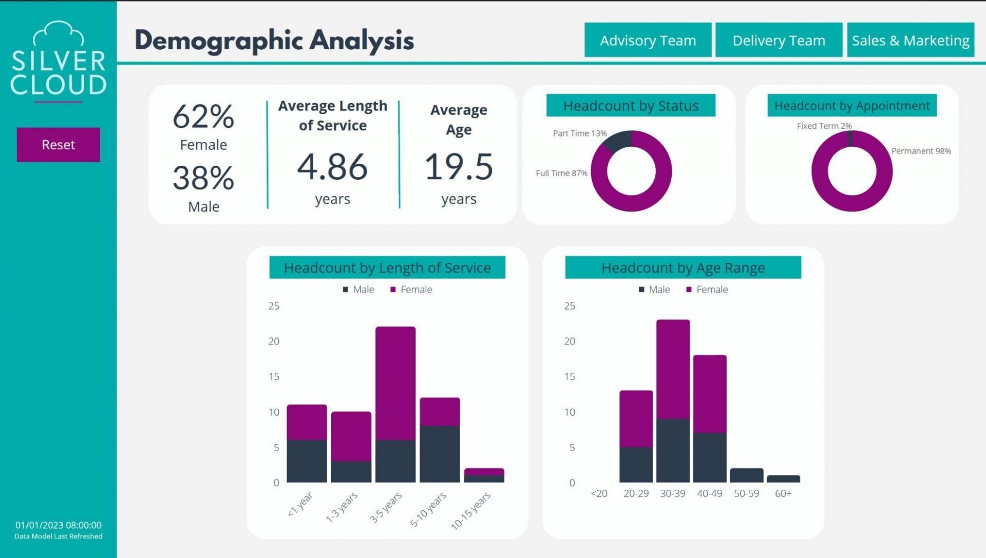 HR Data Dashboard - Demographic Analysis