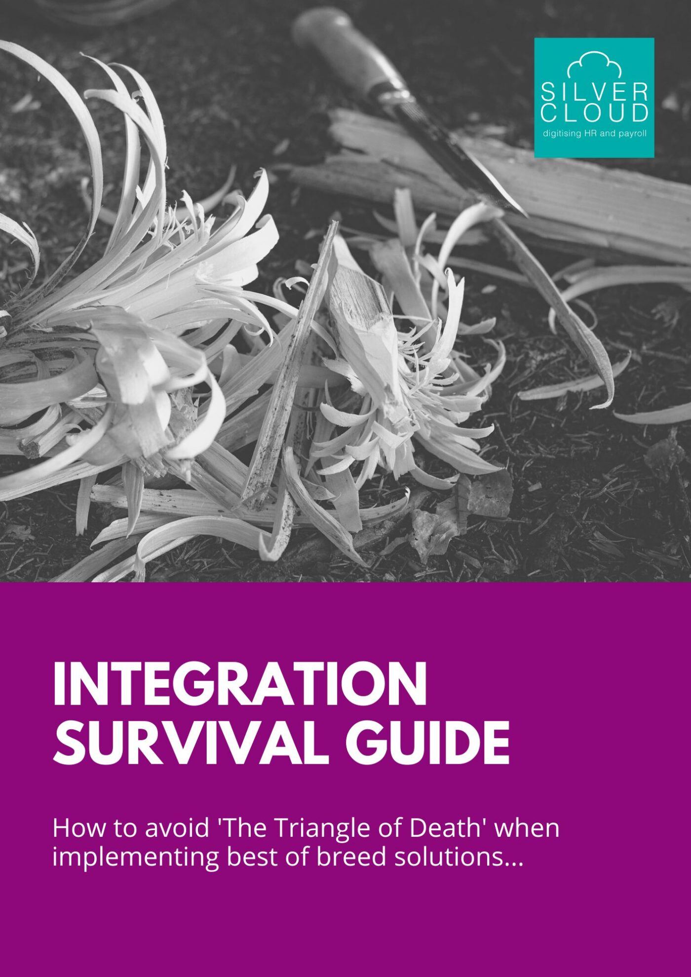 Integration Survival Guide - The Triangle of Death Cover