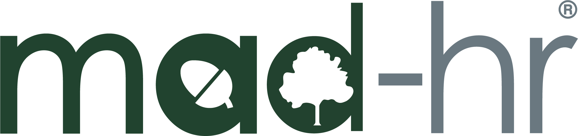 MAD-HR-silver-cloud-hr-vendor-directory-logo