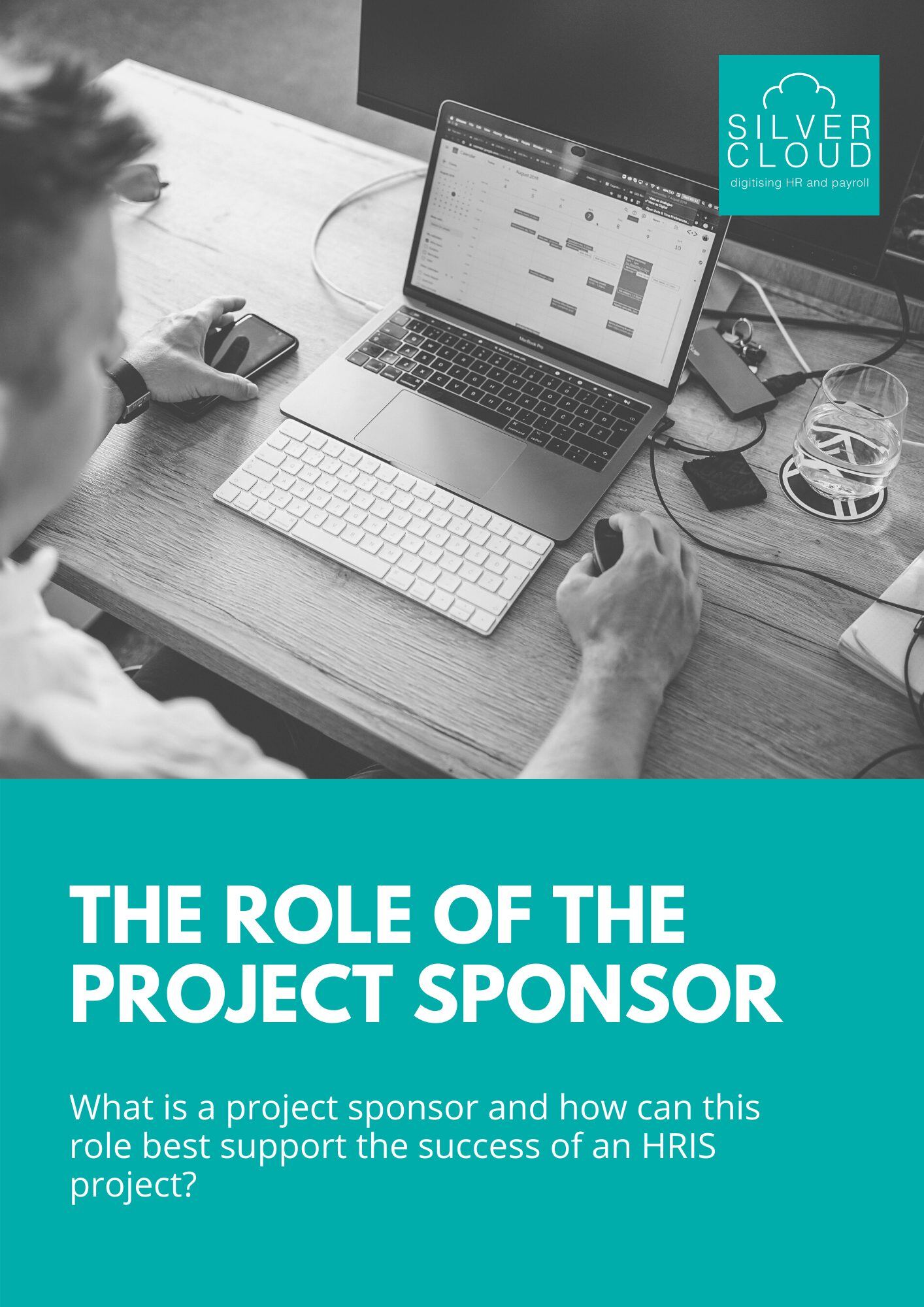 the-role-of-the-project-sponsor-silver-cloud-hr
