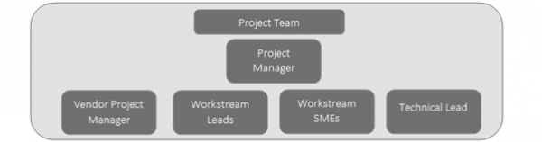 vendor-implementation-project-team-structure-silver-cloud-blog