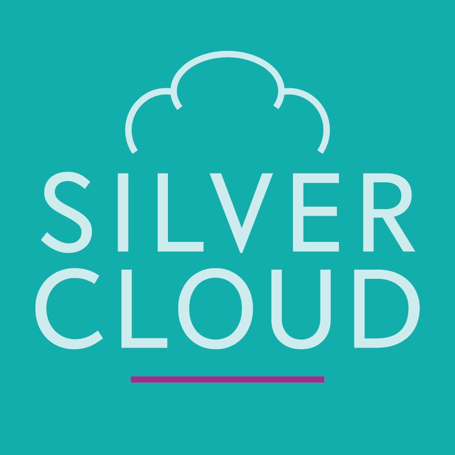 HR Technology Consulting & HRIS Experts | Silver Cloud