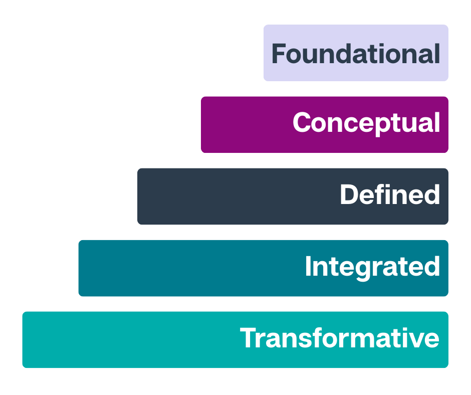Digital Maturity Model High Level
